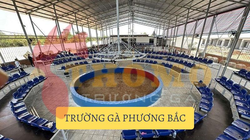 Khám phá Trường gà Phương Bắc